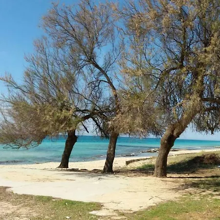 Dea Del Mare